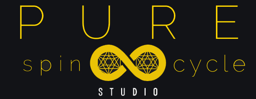 Pure Spin Logo